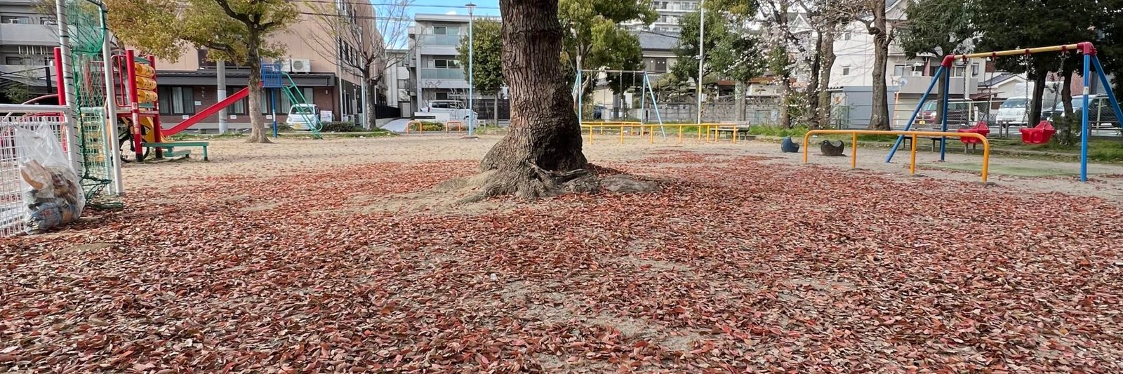 Sitting at a square near my home in Osaka, Japan. It did so much for my wellbeing.