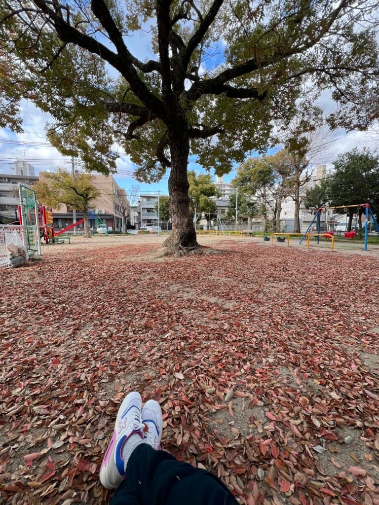 Sitting at a square near my home in Osaka, Japan. It did so much for my wellbeing.